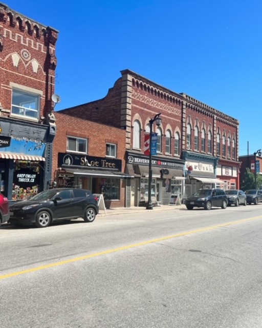 stayner downtown